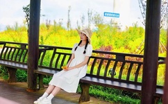 成人无码高潮AV在线观看